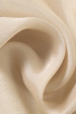 Sheer Backless Crop Top