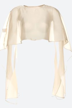 Sheer Backless Crop Top