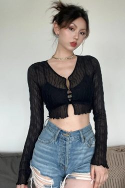 Sheer Crop Top
