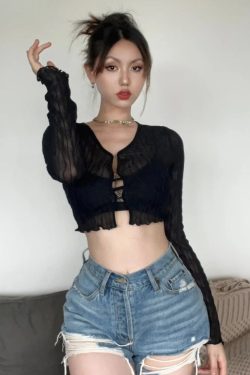 Sheer Crop Top
