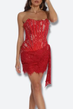 Strapless Lace Mini Dress