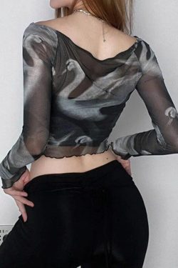 Swan Graphic Asymmetrical Mesh Top