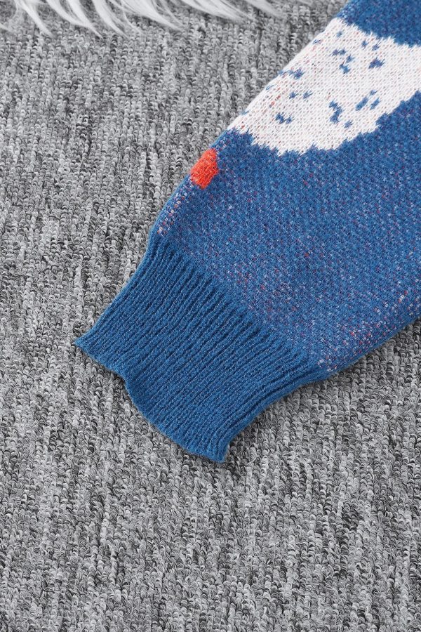 Weirdcore Goose Print Sweater