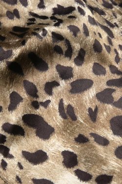 Y2K Leopard Corset Top